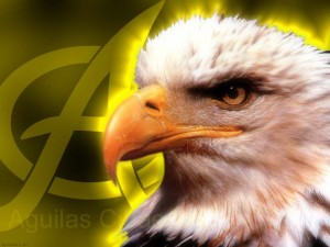 aguilas