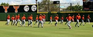 toros