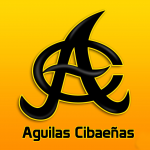 IMG_9398.PNG